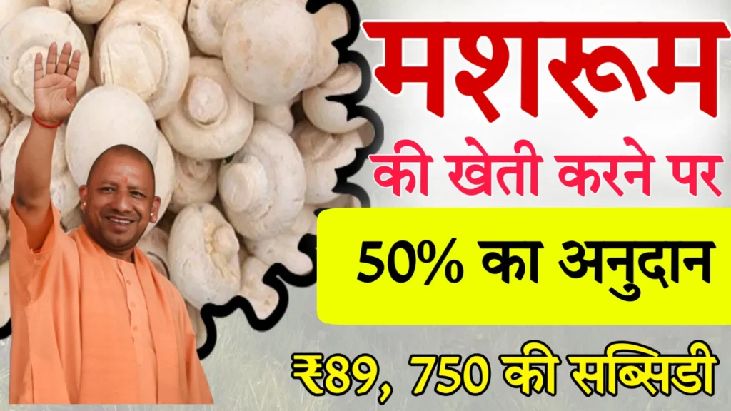 Uttar Pradesh Mushroom Farming Subsidy Scheme