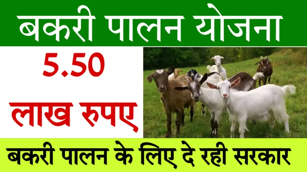 Bakri Palan Yojana