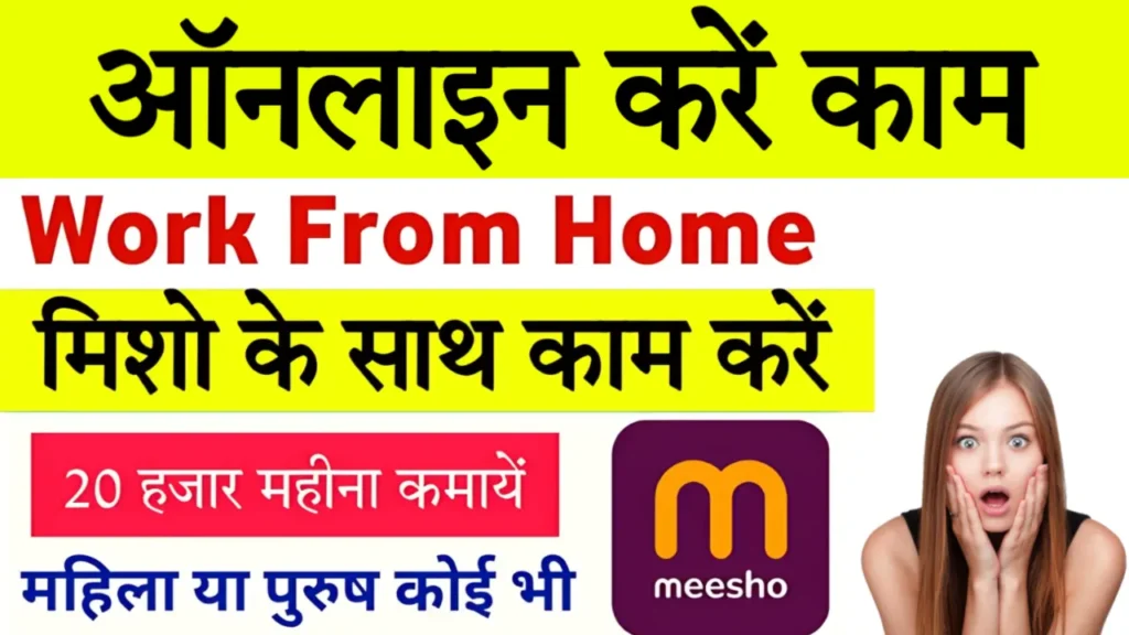 Meesho Work From Home Part Time